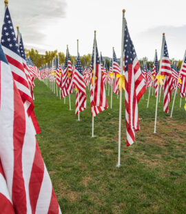 A row of flags and a symbol of the sacrifice we understand first-hand at Marcia L. Campbell, CPA.